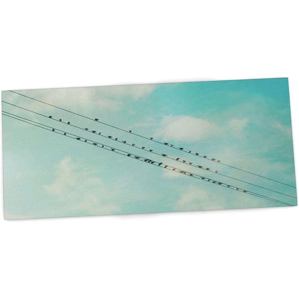 🆕Multi-Purpose Large Teal Feeding Mat for Pet Bowl/Placemat/Desk Mat Birds NWOT